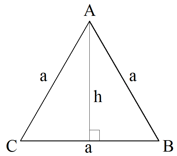 Как найти высоту в равностороннем треугольнике зная. Высота равностороннего треугольника. Периметр равностороннего треугольника.